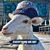 Mark Treadwell's profile image