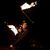 Ryan Sparrow Catino's profile image