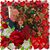 Jackie Lambert Rehak's profile image
