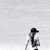 Carolyn Lazor's profile image