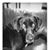 David Goldsberry's profile image