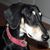 Angela Padovani's profile image