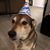 Jonathan Sonnenberg's profile image