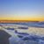 Pam Morris's profile image