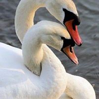 Steve Barber's profile image