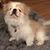 Sandra Wokeck Schuler's profile image
