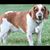 Sherron Rene Ely's profile image