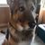 Barbara Bondra's profile image