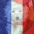 Susan Kingsolver's profile image