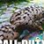 Badrol Basri's profile image