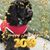 Liz Hawley Williamson's profile image