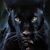 Alex Mutu's profile image