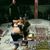 Kin Moy's profile image