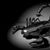Luciano Certoma's profile image