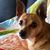 Diana Jacinto McKeon's profile image