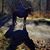 Linda Trailrider McAskill's profile image