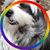 Cecilia Gold's profile image