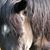Julee Clarke's profile image