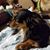 Laura Leur Chavana's profile image