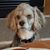 Sandi Parrill's profile image