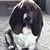 Lynne Schnepf's profile image