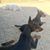 Sharon Wixom-dean's profile image