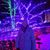 Cynthia Arsneault's profile image