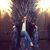 Christine Marie Peoples's profile image