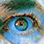 Neil Liebert's profile image