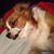 Ina Grace Alley Kirby's profile image