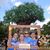 Laura Olson Gossage's profile image