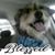 Carol Kelley's profile image