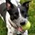 Kimberly Cooper's profile image
