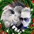 Julie Thompson's profile image