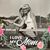 Jenny Baker Sydnes's profile image