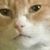 Reece McClintock's profile image