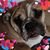 Kimberly Johnson's profile image