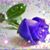 Christy Conerway's profile image