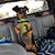 Stephanie Barden's profile image