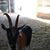 Nancy Garris's profile image