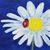 Tracie Lee Berry's profile image