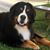 Coral VanBuren's profile image