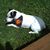Cheryl Tennant's profile image