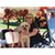 Brenda Hart Booker's profile image