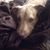 Jill Masur's profile image