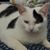 Joyce McDaniel's profile image