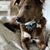 Karen Miller-Cross's profile image