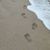 Virginia Phillips's profile image