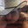 Troy Pawleska's profile image