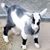 Rosmarie Mimi Berghahn's profile image